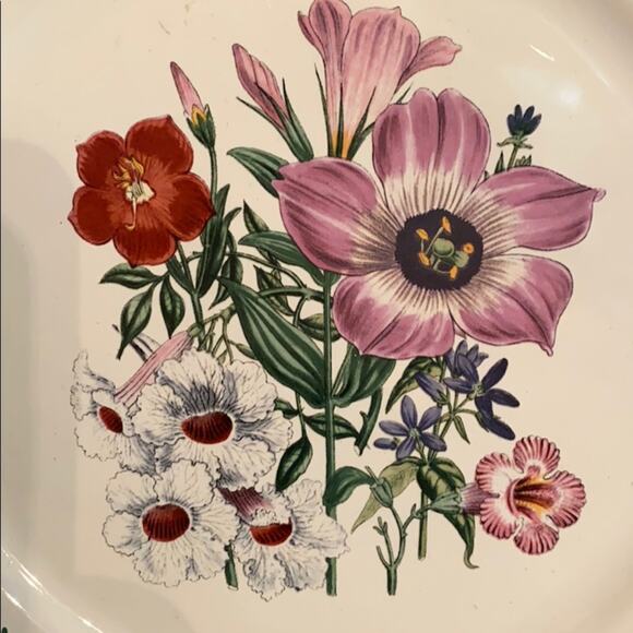 Smithsonian Institution Cabinet Shelf Display Plate Multicolor Floral Classic - Picture 3 of 5